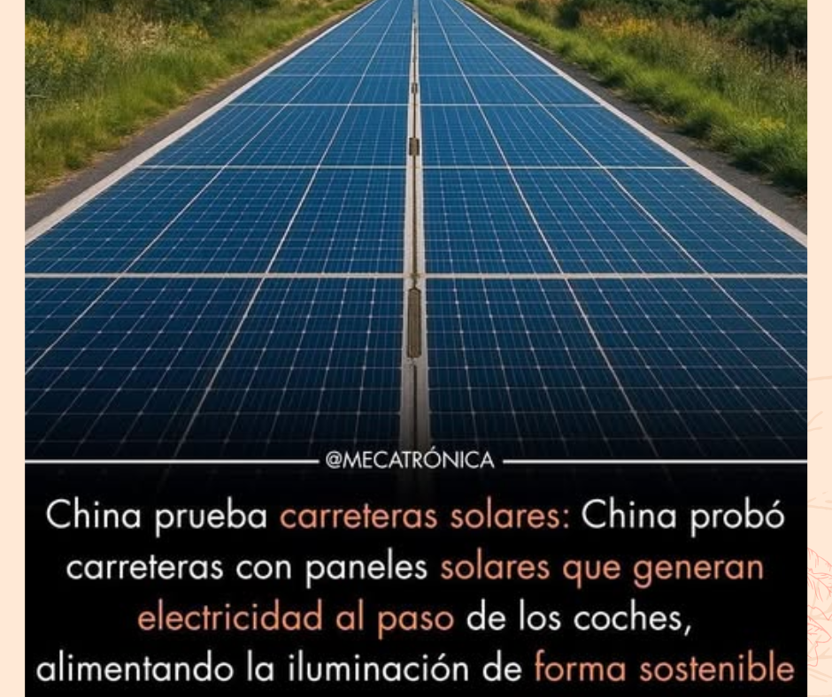Paneles Solares en Carretera